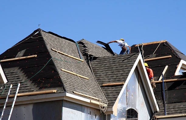 Best Metal Roofing Contractor  in Coralville, IA